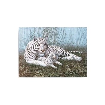 Malování podle čísel Bílý tygr s mládětem