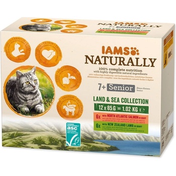 IAMS Cat Senior losos/jahňav omáčke 12 x 85 g