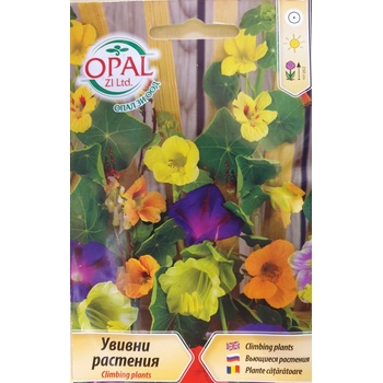 Image 1 of Opal Zi Увивни растения Микс Climbing plants