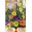 Opal Zi Увивни растения Микс Climbing plants