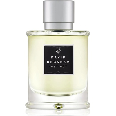 David Beckham Instinct toaletní voda pánská 75 ml tester