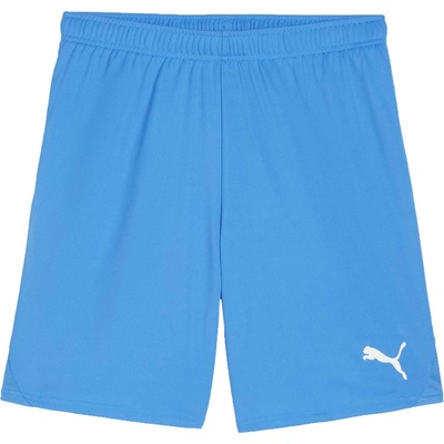 PUMA Teamgoal shorts l