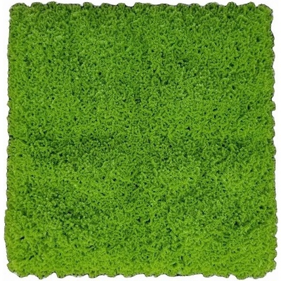 Moss green, dílec 50 x 50 cm