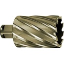 Karnasch 201270u041