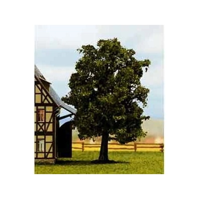 Noch habr obecný 21690 – Hledejceny.cz