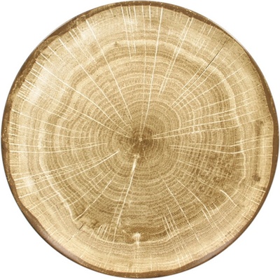 RAK Porcelain Woodart talíř mělký coupe 29 cm mechově zelená WDNNPR29MG-12