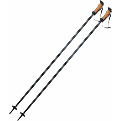 Sjezdové hole Elan Speedrod Black 2021/22 – Zbozi.Blesk.cz