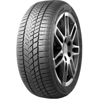 Autogreen Winter Max A1-WL5 255/40 R19 100V