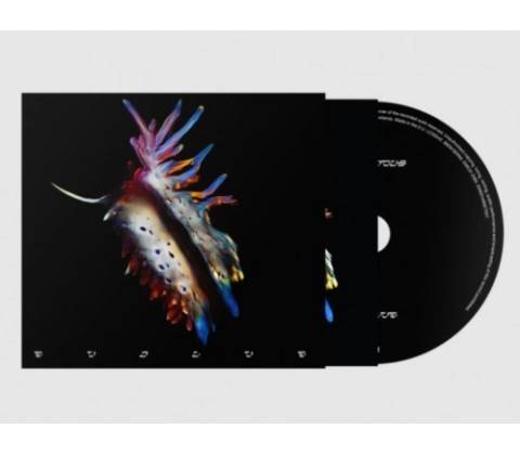 Sub Focus - Evolve CD
