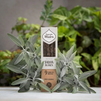 Sagrada Madre Salvia Blanca živicové vydymovacie tyčinky 8 ks