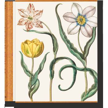 Besler. The Garden at Eichstätt | Littger, Klaus Walter, Werner Dressendörfer