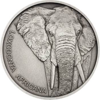 Česká mincovna Stříbrná mince Zvířecí rekordmani Slon africký stand 1 Zo