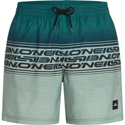 O'Neill Мъжки бански слипове O'Neill Logo Stripe 16'' Swimshorts Swim brief - Green Heritage Stripe (050-2413-0313)