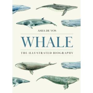 Whale (ISBN: 9780691273211)
