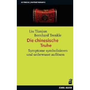 Die chinesische Truhe | Bernhard Trenkle (ISBN: 9783849703936)