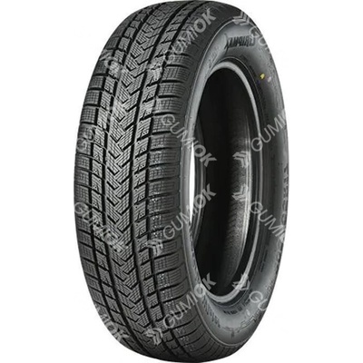 GRIPMAX SUREGRIP eWINTER 205/55 R17 95V