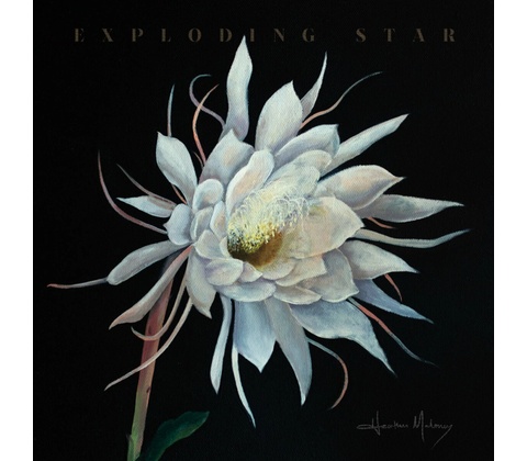 Maloney Heather Exploding Star 1 CD