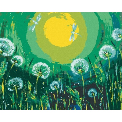 zuty Malování Podle Čísel Pampelišky A Vážky 80 x 100 Cm Plátno