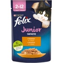 Felix Fantastic Junior kura v želé 85 g