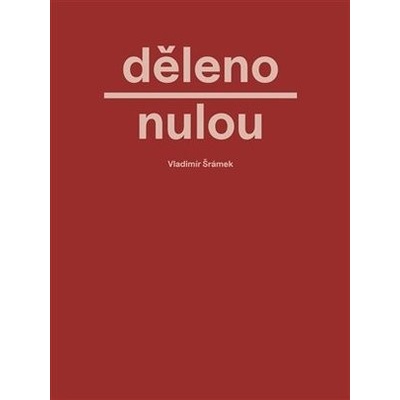 Děleno nulou