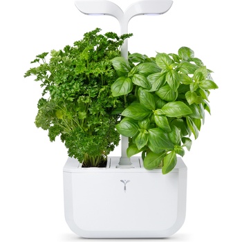 Veritable Саксия Veritable Exky Classic (VPOT-SAWAS-EU2-161)