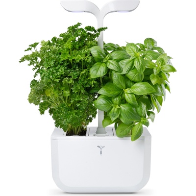 Veritable Саксия Veritable Exky Classic (VPOT-SAWAS-EU2-161)