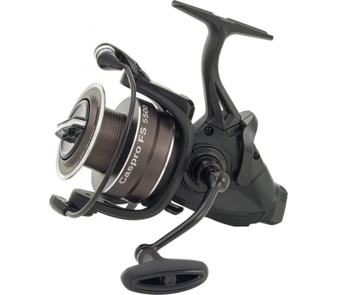 Ryobi Caspro FS 5500