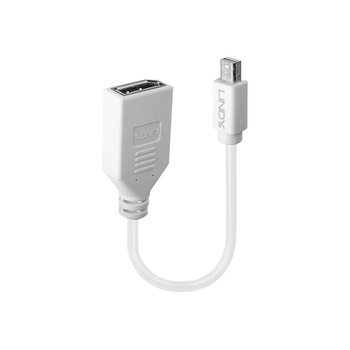 Lindy 41021 DisplayPort кабел 0, 15 м Mini DisplayPort Бяла (41021)