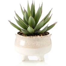 Umělý Umelý Echeveria kaktus v květináči, 20cm