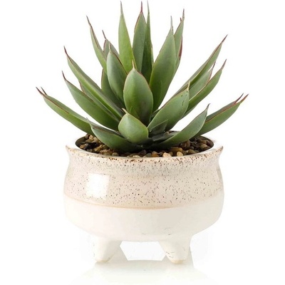 Umělý Umelý Echeveria kaktus v květináči, 20cm
