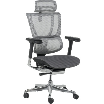 Ergohuman Ергономичен стол ergohuman ioo elite 2 - черна рамка - сив