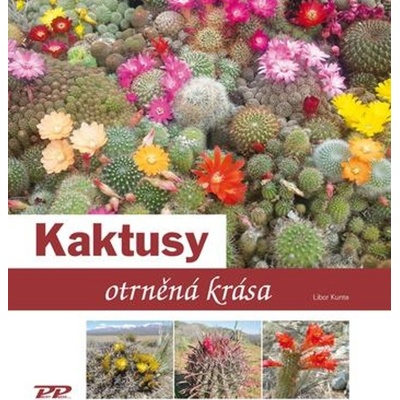 Kaktusy - otrněná krása