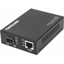 Intellinet 508193