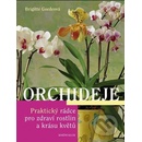 Orchideje