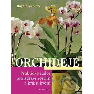 Orchideje