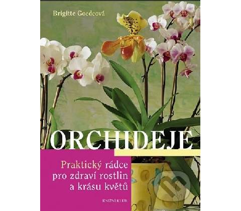Orchideje