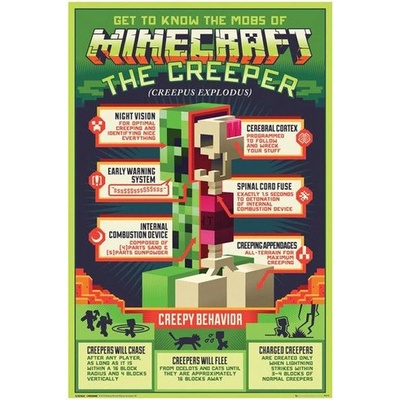 Plakát, Obraz - Minecraft - Creepy Behaviour, (61 x 91,5 cm)