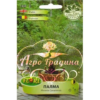 Image 1 of Флориан Палма (Карибска) финикова Phoenix Canariensis