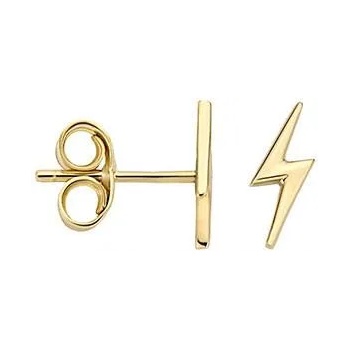 Blush Дамски златни обеци Blush 7249YGO (7249YGO)