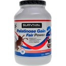 Survival Palatinose Gain 20 Fair Power 1500 g