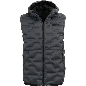 ALPINE PRO LIVEW L