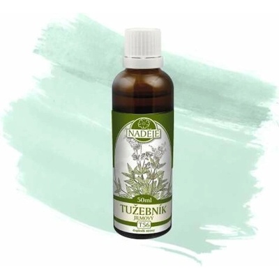 Naděje Podhorná Túžobník brestový 50 ml