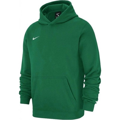 Nike Y NK FLC PARK20 PO HOODIE cw6896-302