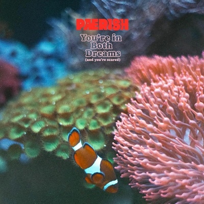 PAERISH - YOU\'RE IN BOTH DREAMS CD