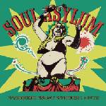 Warner Soul Asylum: While You Were Out / Clam Dip & Other Delights - Vinyl (LP) (031427)