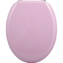 MSV CLEO 140017