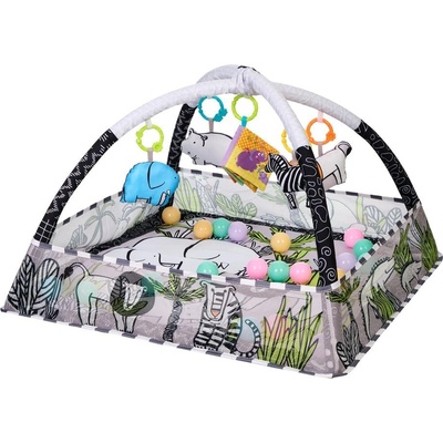 KikkaBoo Активна гимнастика с 18 топчета (kikka-31201010406)