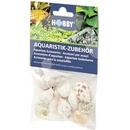 Hobby Sea Shells Set M 10 ks