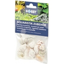 Hobby Sea Shells Set M 10 ks