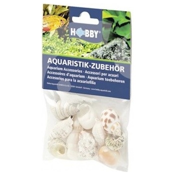 Hobby Sea Shells Set M 10 ks